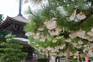 智恩寺